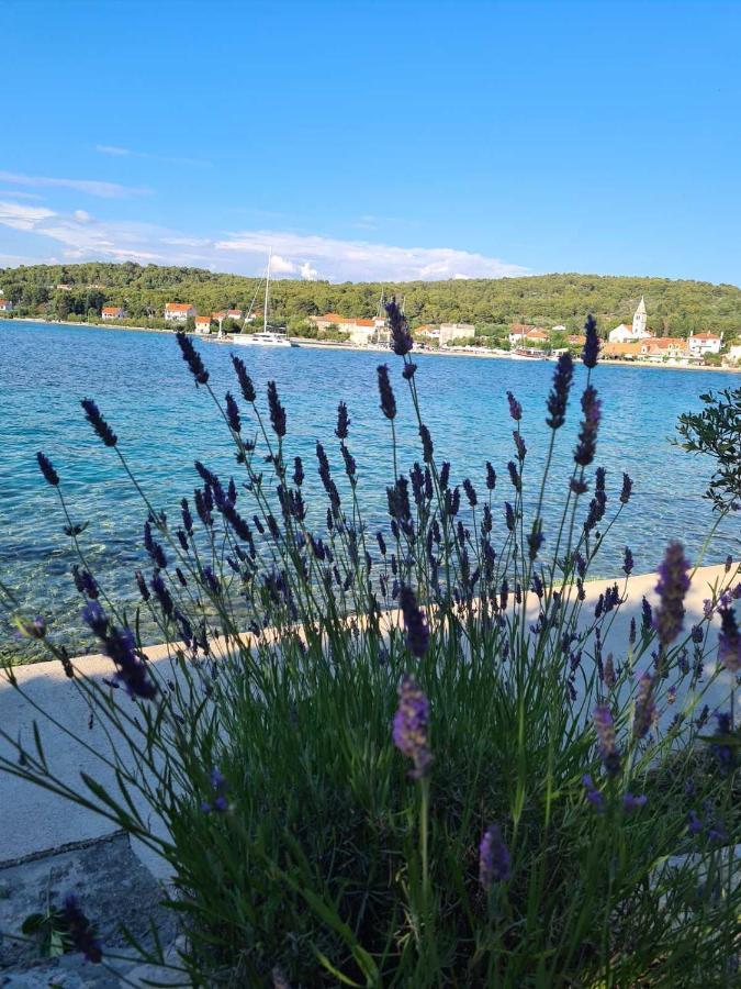 Apartmani Fortuna Zlarin Εξωτερικό φωτογραφία